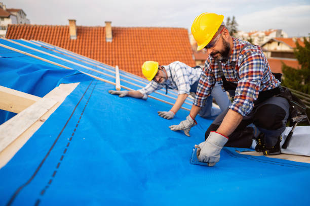 Best Roof Repair Services  in Benson, NC